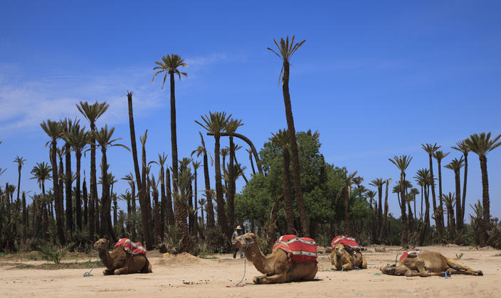 marrakech events